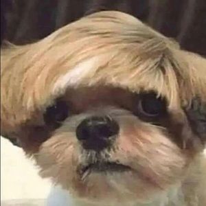 Meet your Posher, Breg